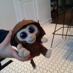 Fire_Monkey_20160101_120652