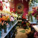 Floral_20151219_115115