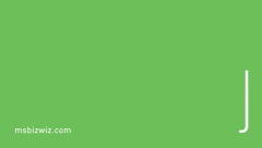 MsBizWiz